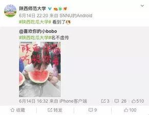 各高校吃瓜网站,揭秘各大校园吃瓜网站热点事件盘点  第2张